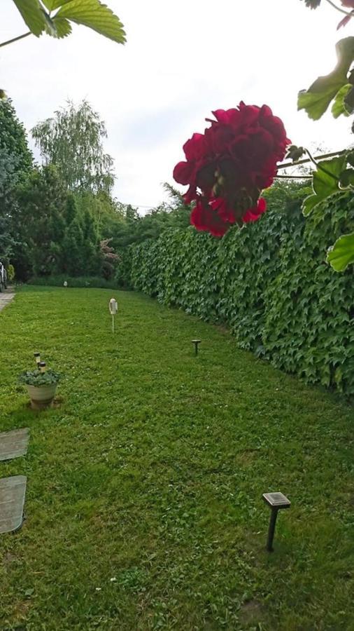 Liliana Vendeghaz Apartment Balatonfuzfo Luaran gambar